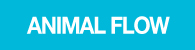 ANIMAL FLOW