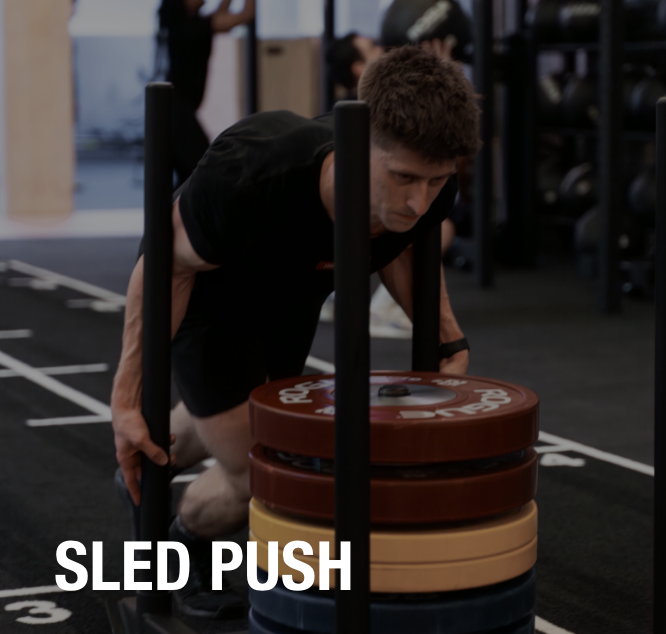 CARRÉ SLED PUSH